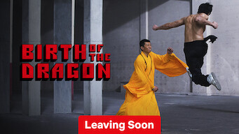 Birth of the Dragon (2017)