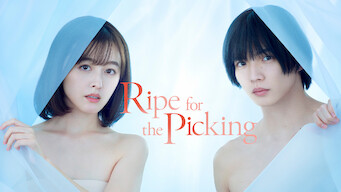 Ripe for the Picking (2024)